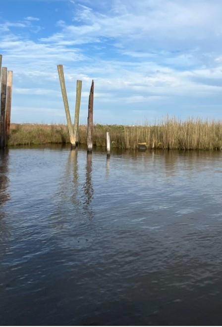 000 Grand Bayou Way - Photo 1