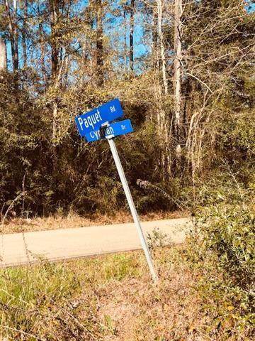 29227 Pacquet Road - Photo 1