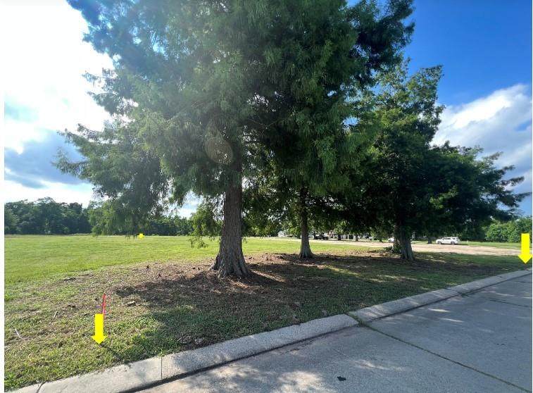 4000B Genie Street - Photo 1