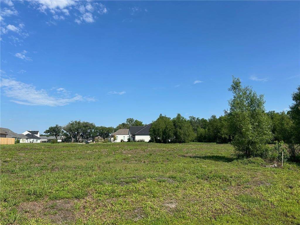  Pintail Point - Photo 1