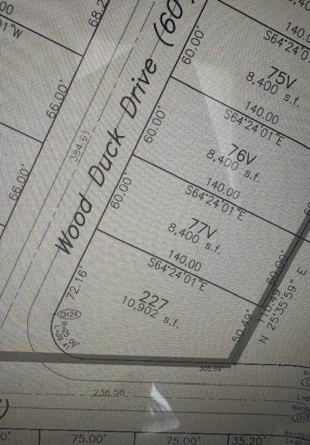 151 Wood Duck Drive - Photo 1