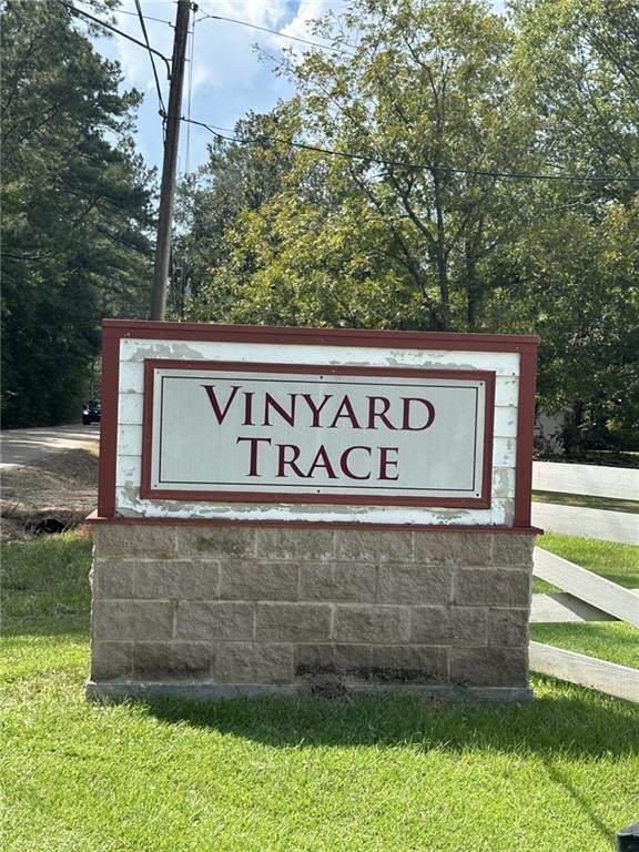 47052 Vineyard Trace - Photo 1