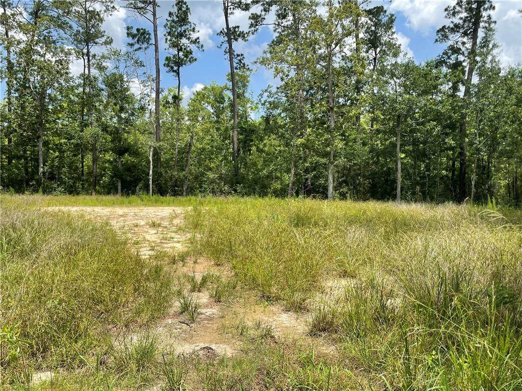 00 Marple Lane - Photo 1