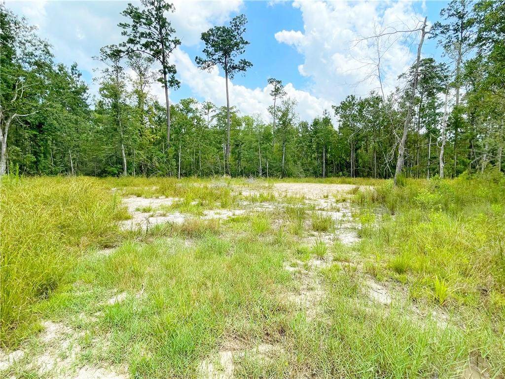 00 Marple Lane - Photo 1