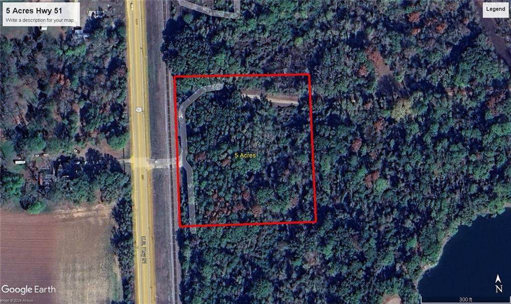  Hwy 51 Highway - Photo 1