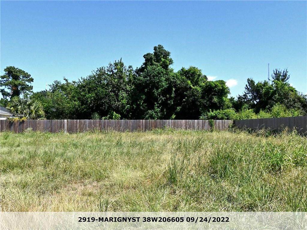 2919 Marigny Street - Photo 1