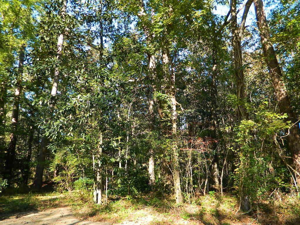 0 West Of Sunset Drive - Photo 1