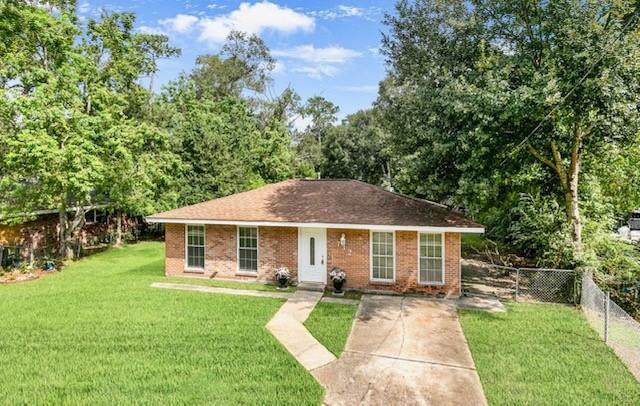732 Pine Tree Street - Photo 1