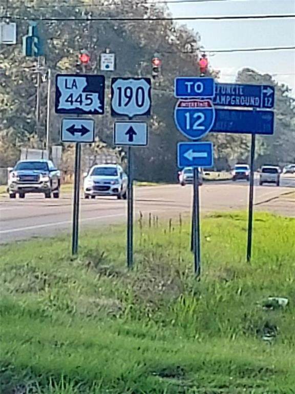 23046 190 Highway - Photo 1