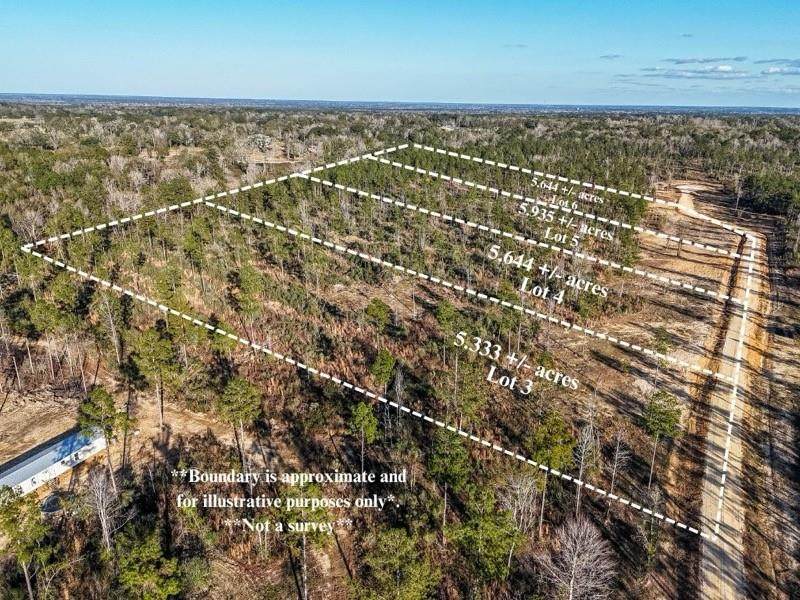  Lot 3 Highway 10 Highway - Photo 1