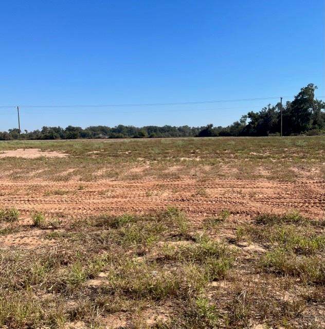 3078 Bayou Fields Drive - Photo 1