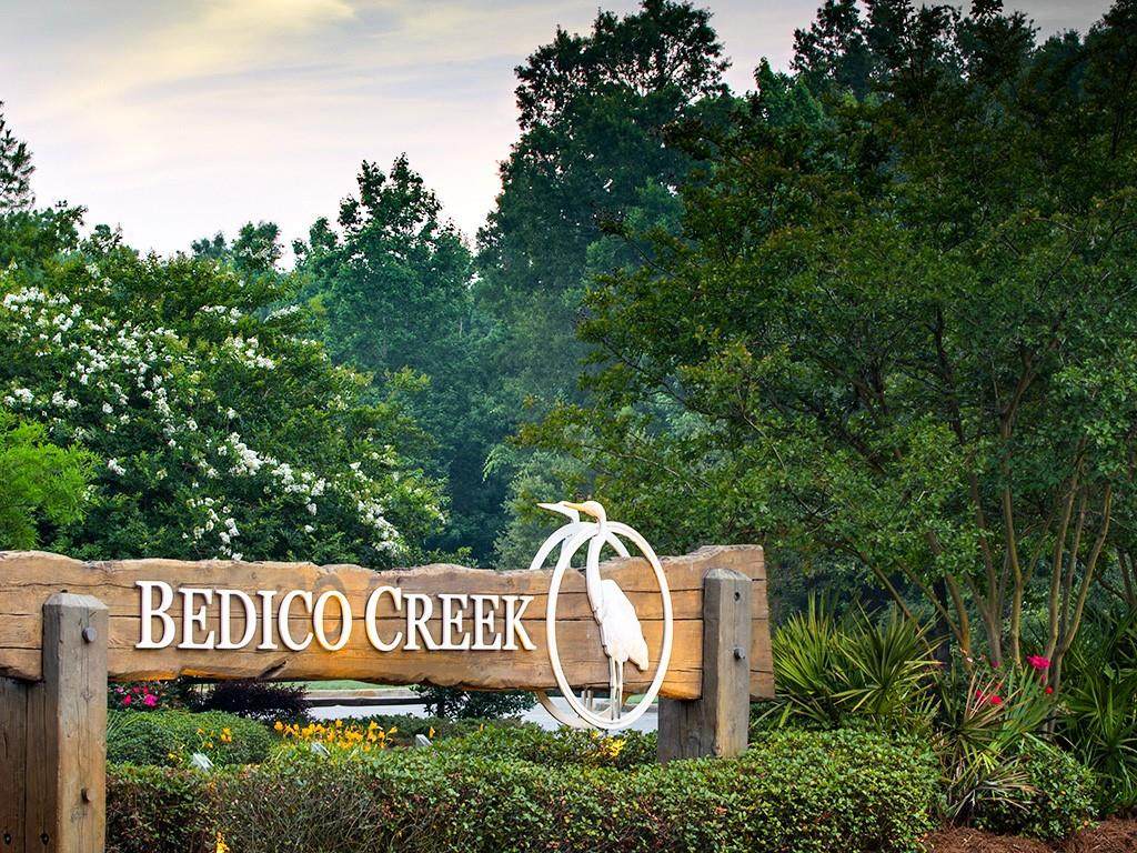  Greenville Trace - Photo 1