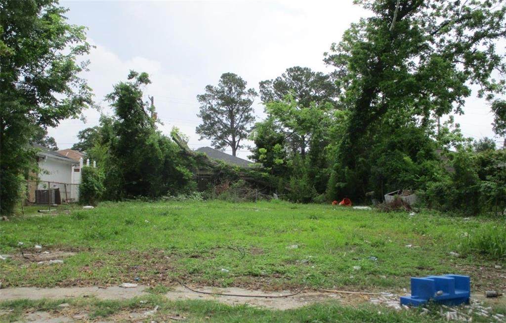 1208 Flanders Street - Photo 1