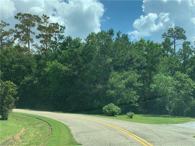 10 & 11 Ebony Lane - Photo 1