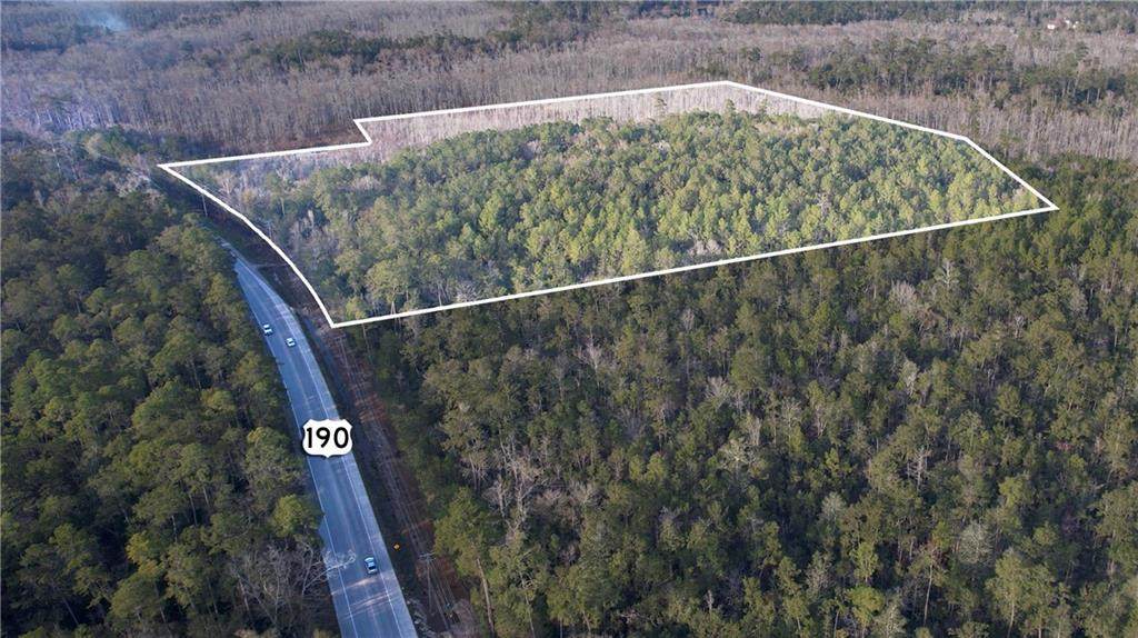  Hwy 190 Highway - Photo 1