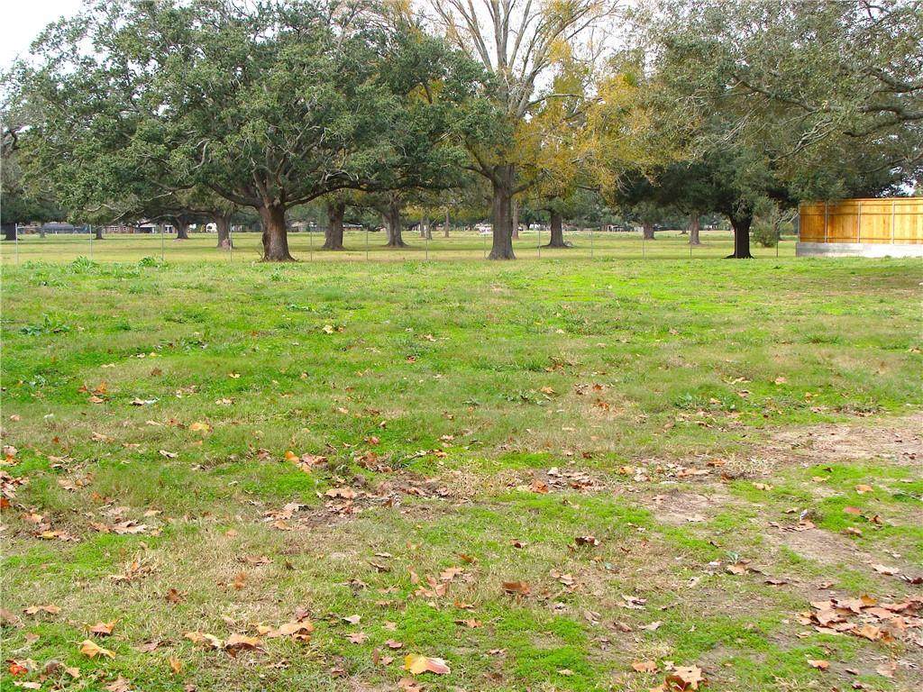 https://bt-photos.global.ssl.fastly.net/neworleans/orig_boomver_1_2505707-2.jpg
