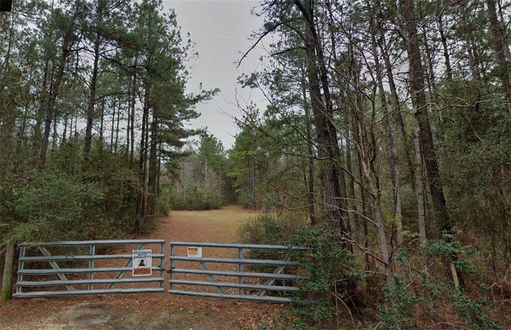 TBD Briarwood Drive - Photo 1