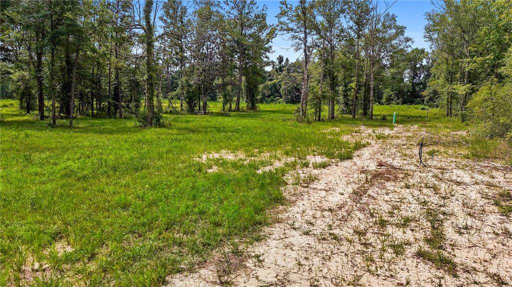 39502 Lee's Landing Road - Photo 1