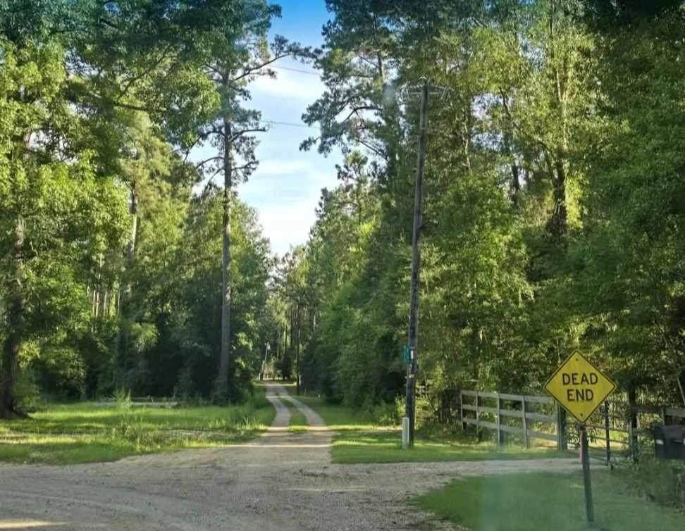 https://bt-photos.global.ssl.fastly.net/neworleans/orig_boomver_1_2513586-2.jpg