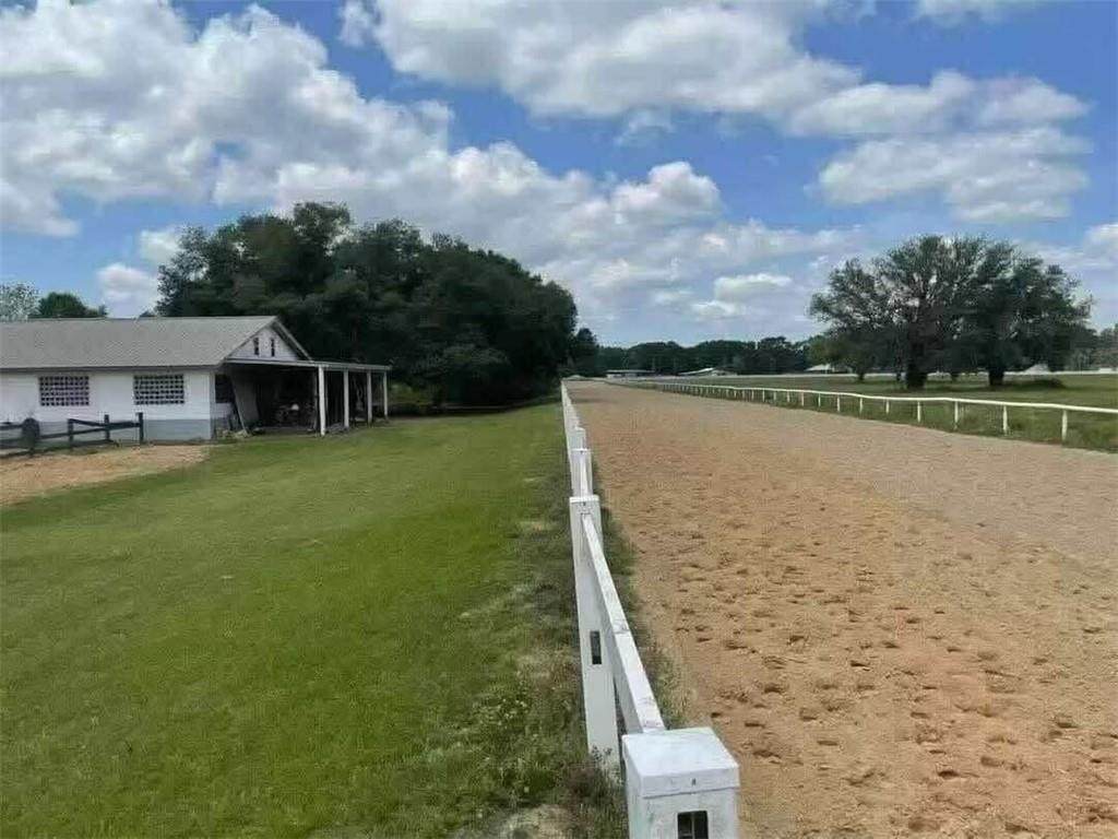 82347 Training Center Road - Photo 1