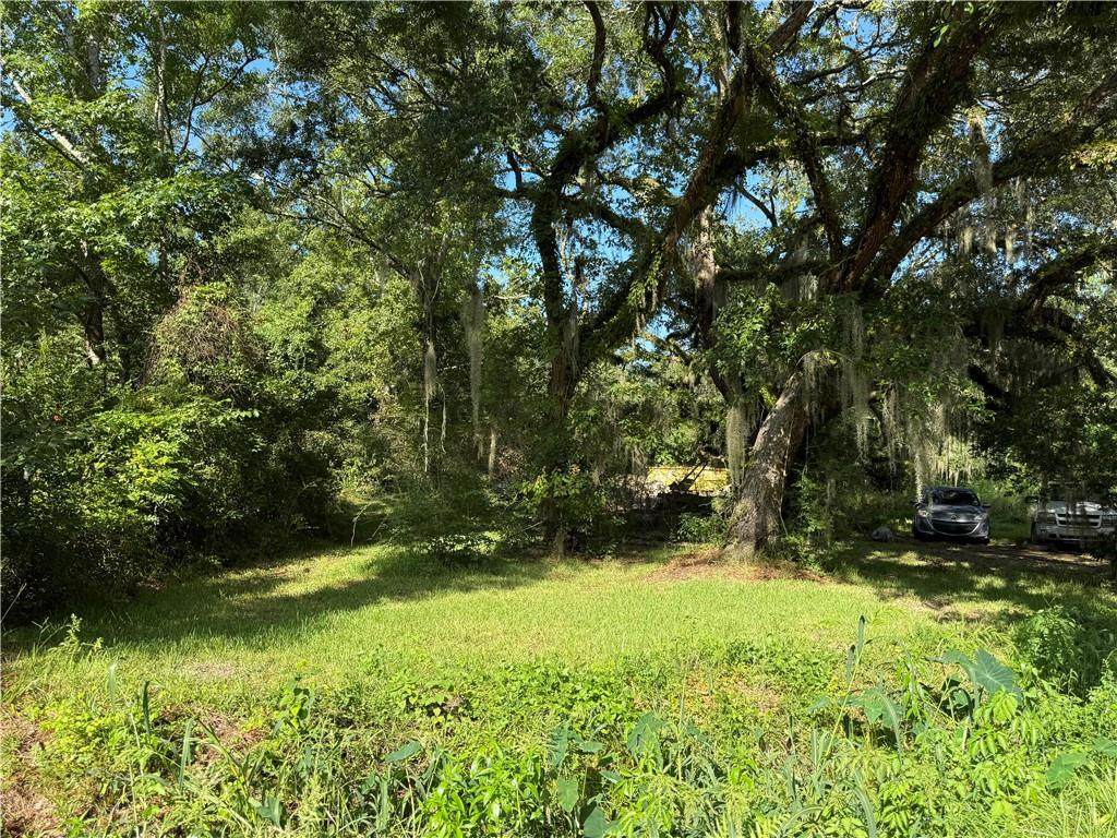 35620 Sisters Road - Photo 1