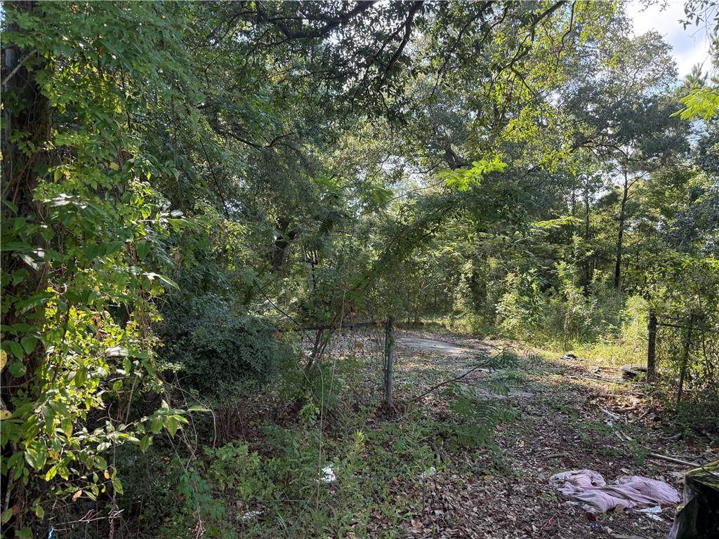 9999 Maple Avenue - Photo 1