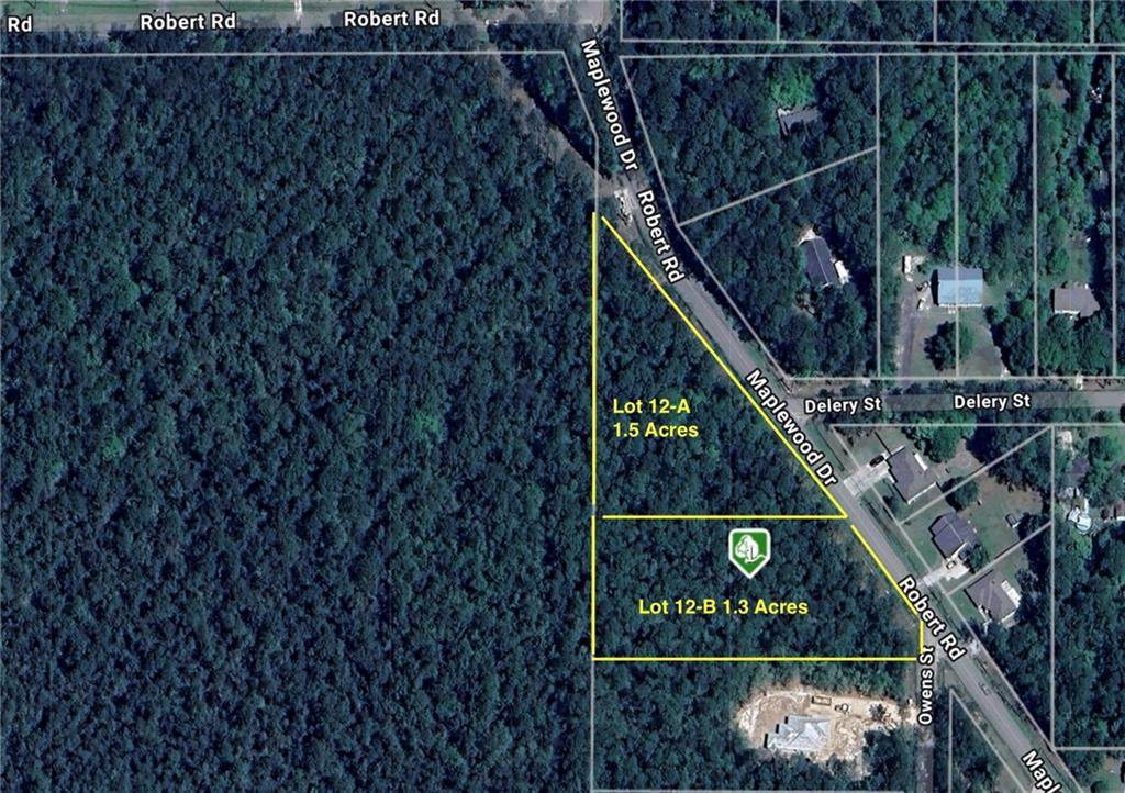 Lot 12A Robert Road - Photo 1