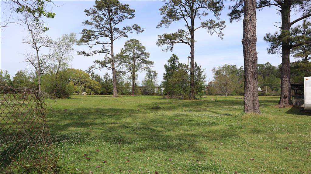 38003 Fricke Road - Photo 1