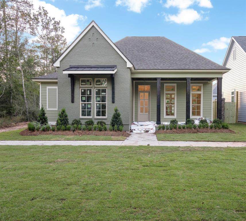 850 Cane Loop Alley - Photo 1