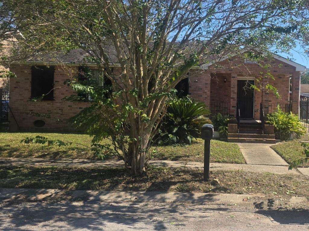 4633 35 Camelia Street - Photo 1