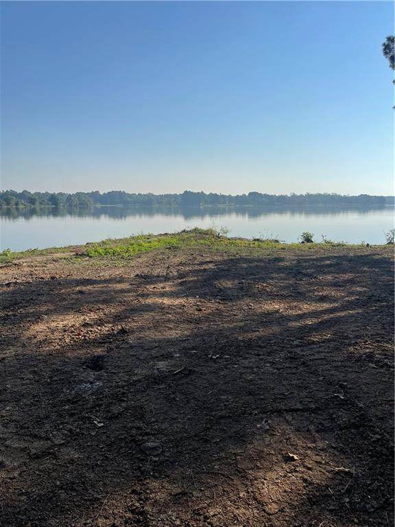 248 Ponderosa Drive - Photo 1