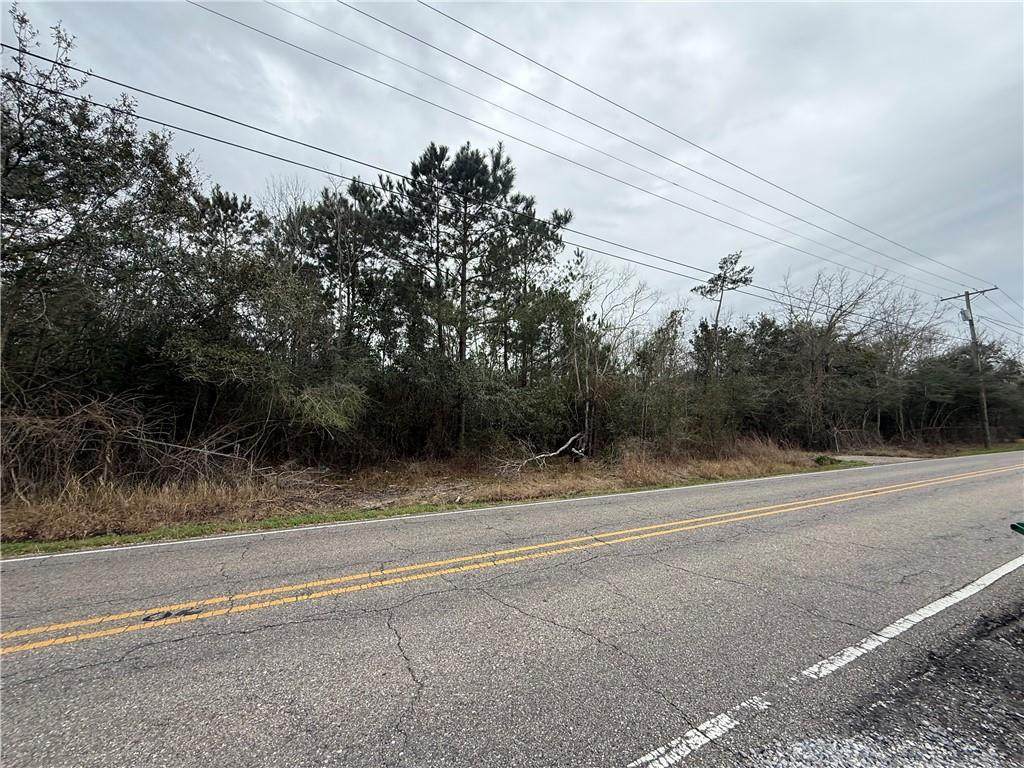 34180 Bayou Liberty Road - Photo 1