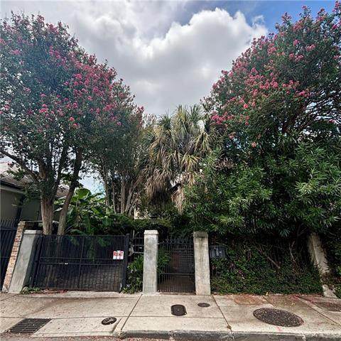 837 Governor Nicholls Street - Photo 1