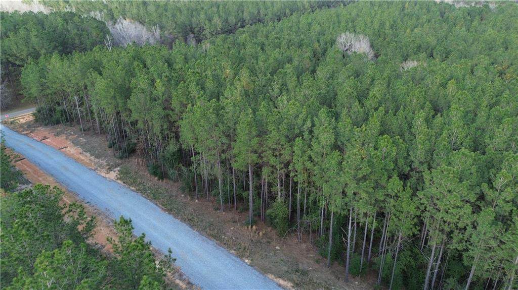 Lot 8 Bethel Road - Photo 1