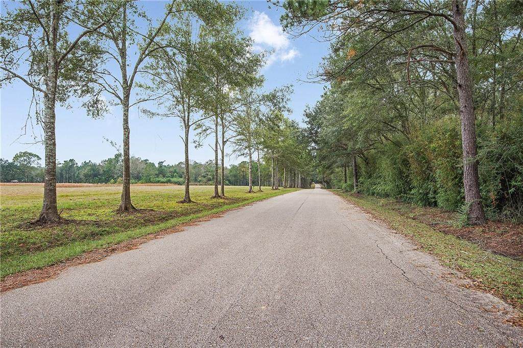 12294 Quaglino Road - Photo 1