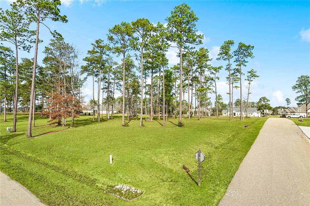 131 Hidden Lake Loop - Photo 1