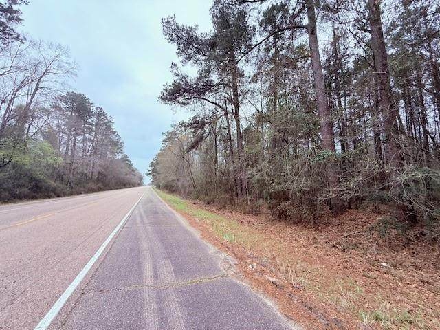 TBD 21 Highway - Photo 1