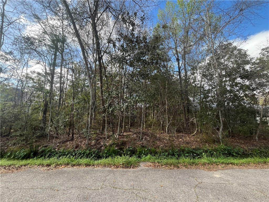 17 & 18 Lots Drive - Photo 1