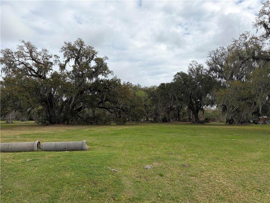 2309 Sylvia Boulevard - Photo 1