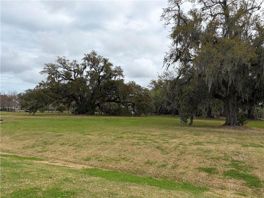 https://bt-photos.global.ssl.fastly.net/neworleans/orig_boomver_1_2546199-2.jpg