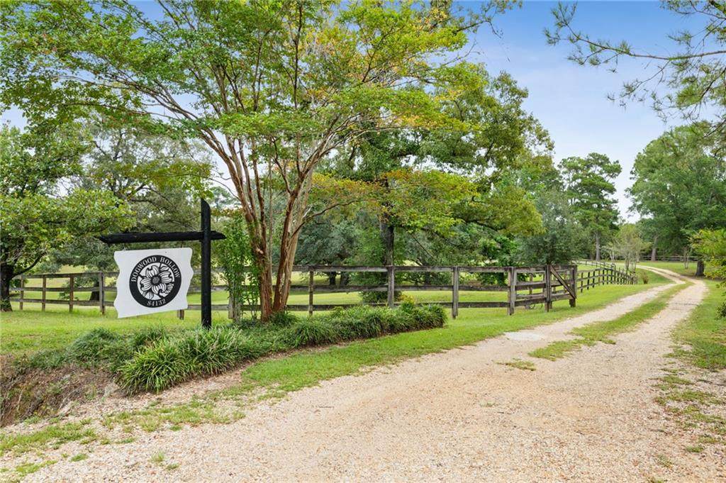 84132 Holliday Road - Photo 1