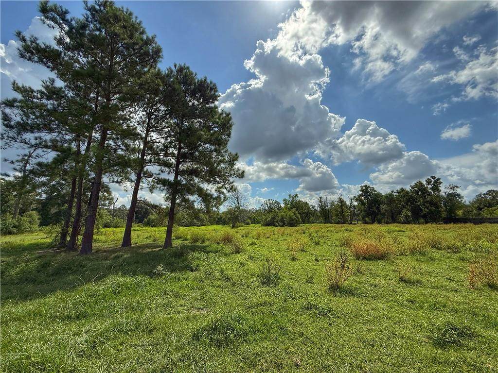 43058 Happywoods Road - Photo 1