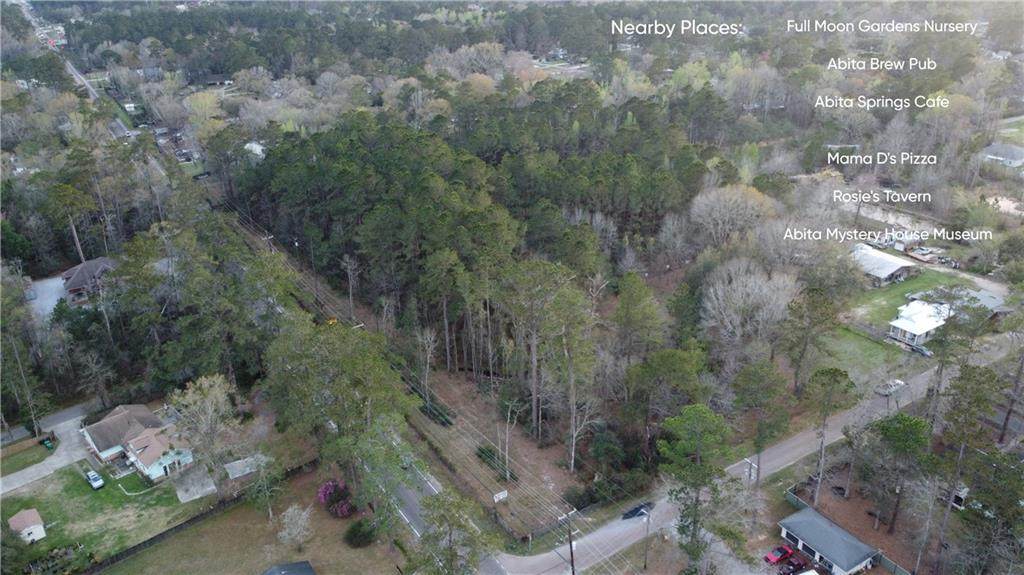  Hwy 59 Highway - Photo 1