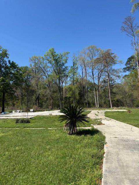 20263 Hollie Lane - Photo 1