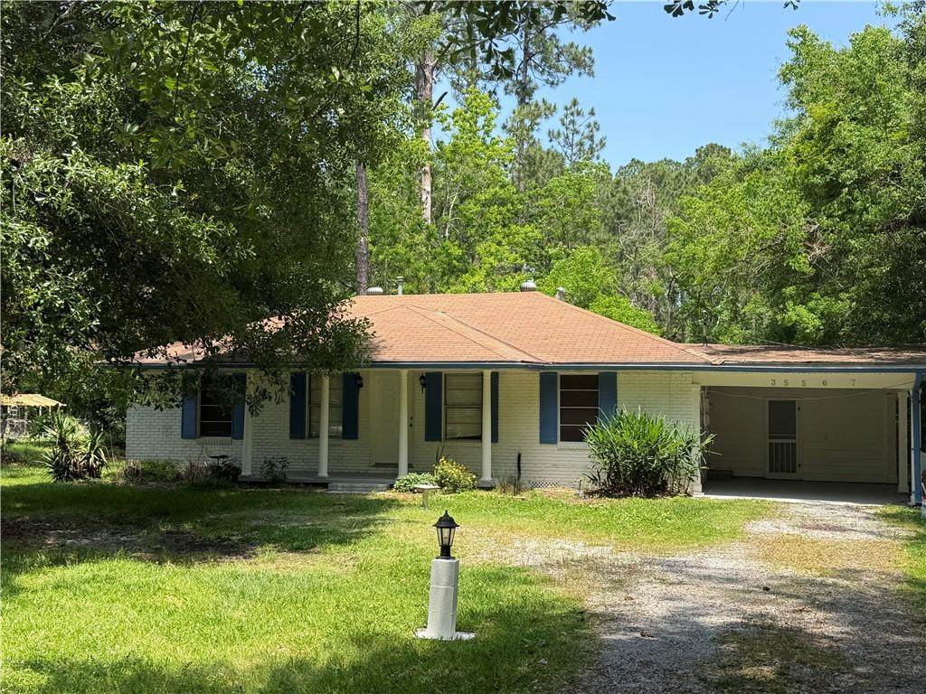 35567 Liberty Drive - Photo 1