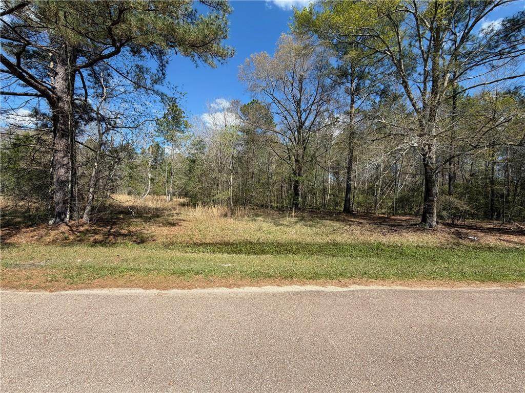 LOT 15C-2 Persimmon Lane - Photo 1