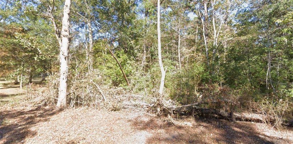 999 Cloverland Road - Photo 1
