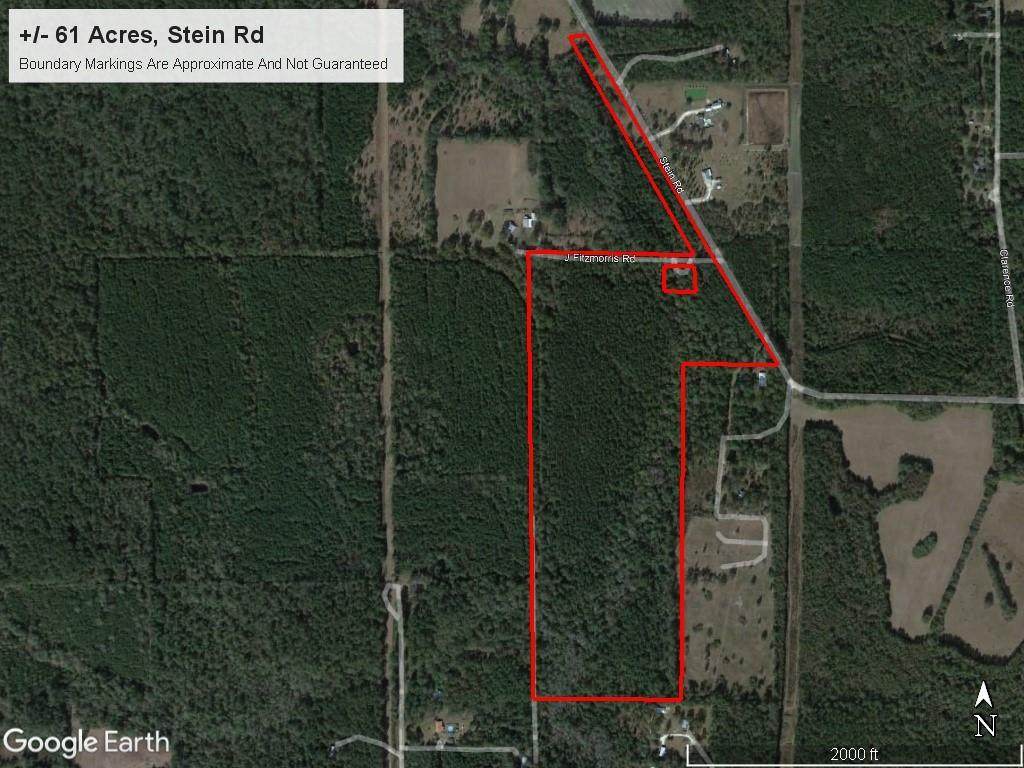 61 Acres Stein Road - Photo 1