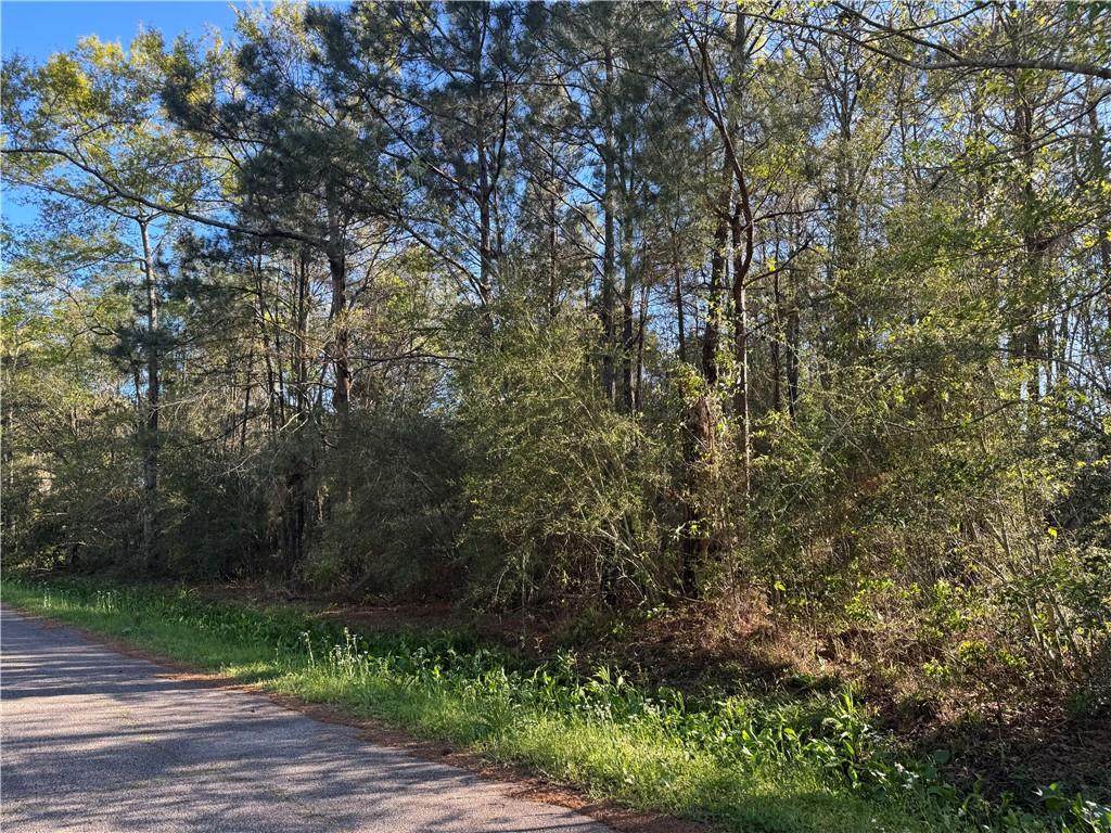 Lot 4A Bayou Oaks Su Claiborne St Street - Photo 1