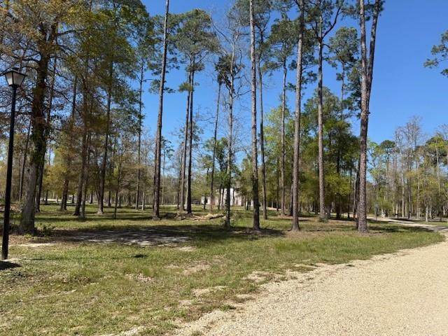  Cypress Pond Road - Photo 1